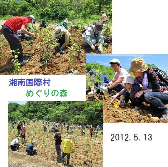 湘南国際村植樹作業（2012.5.12）IMG_3679 (2).jpg